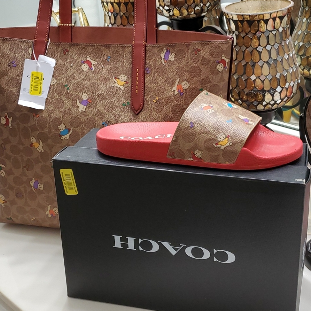 Coach tan tote and slides